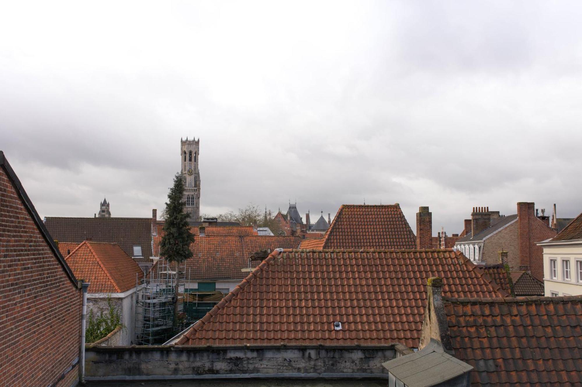 Ridderspoor * Bruges