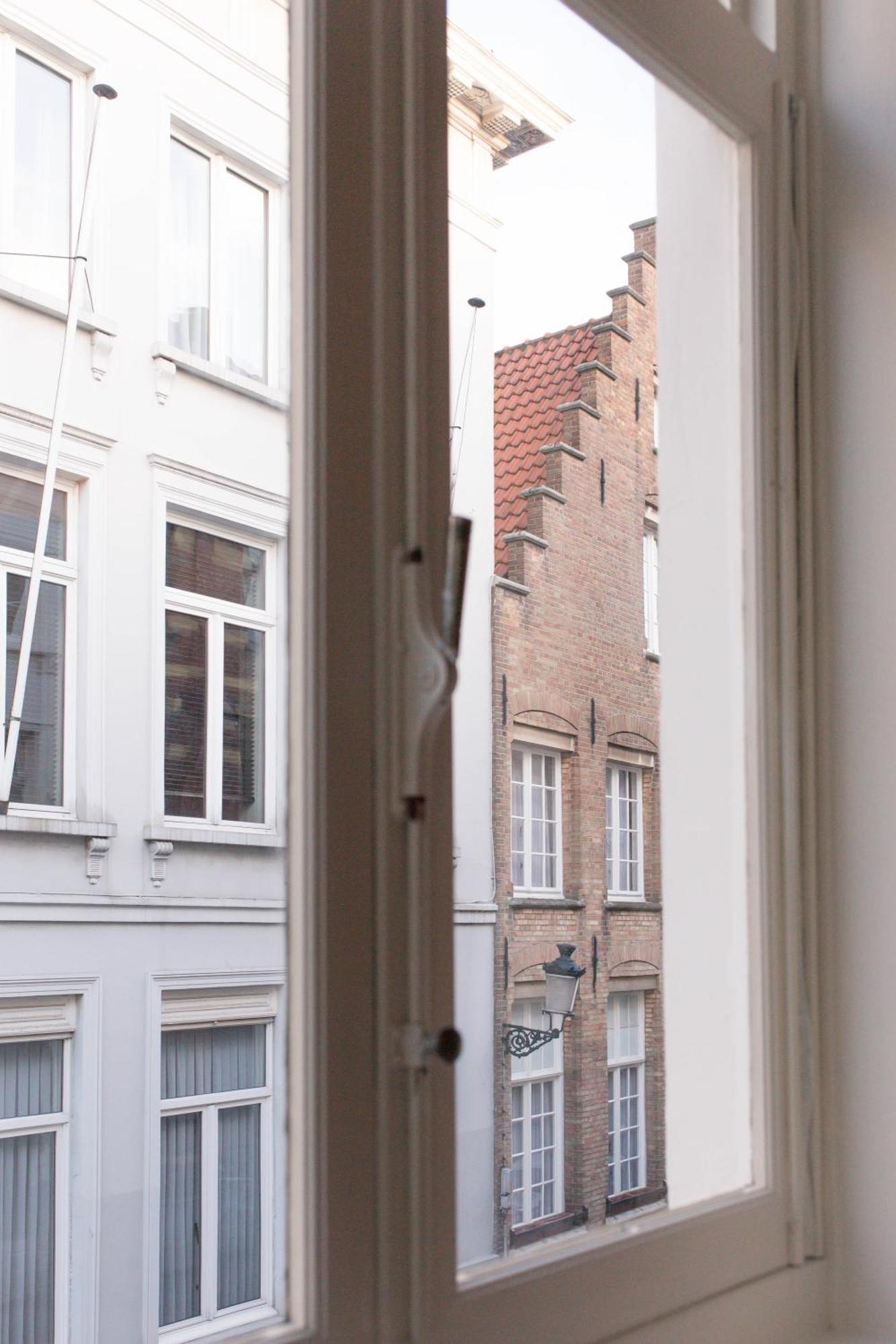 Ridderspoor *